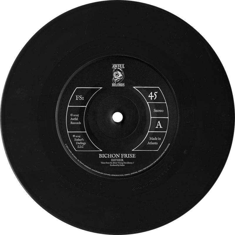 Vinyl Record