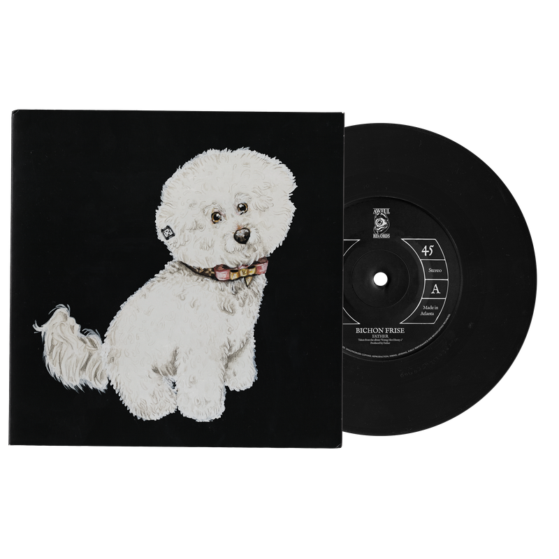 Father - Bichon Frise/OB4HL 7
