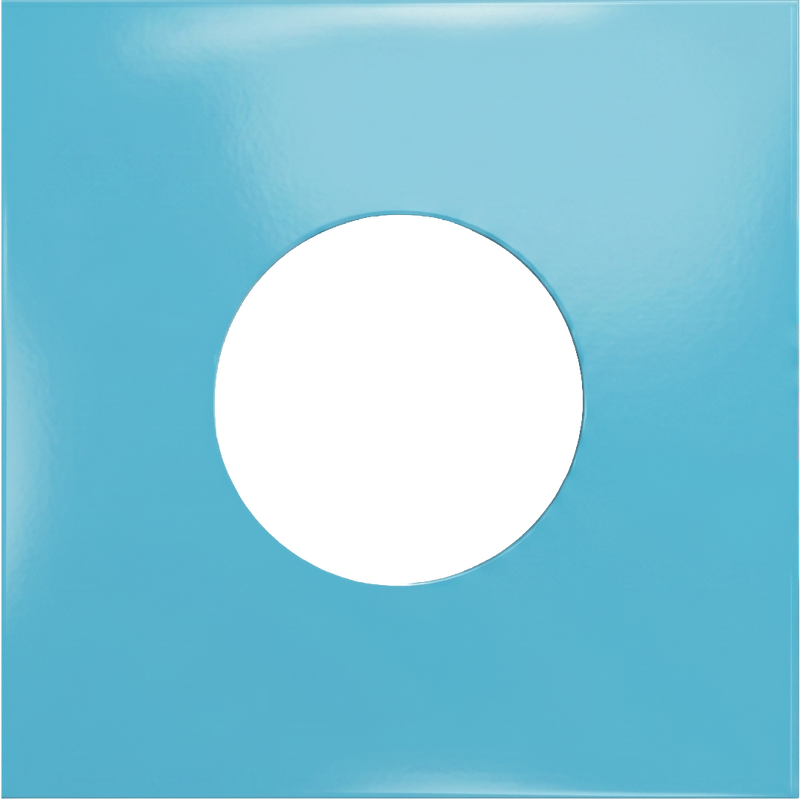 Vinyl Sleeve
