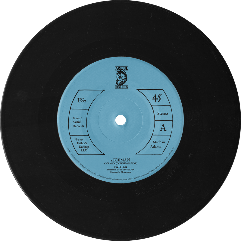Vinyl Record